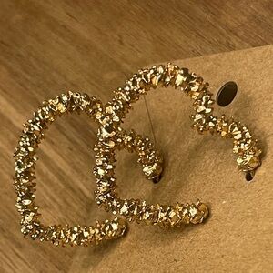 Women’s heart earrings